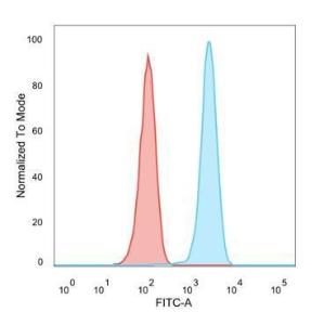 Flow cytometric analysis of PFA fixed MCF-7 cells using Anti-HER2 Antibody [ERBB2/4439] followed by Goat Anti-Rabbit IgG (CFand#174; 488) (Red). Isotype Control (Blue)