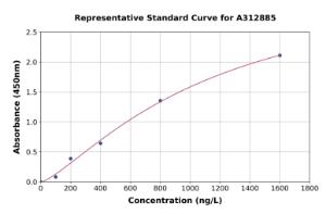 Representative standard curve for Mouse HDAC6 ELISA kit (A312885)