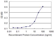 Anti-NACA2 (nascent Polypeptide-associated Complex alpha Subunit 2) Mouse Monoclonal Antibody [clone: 4H6]