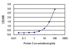 Anti-MPP3 Antibody Pair