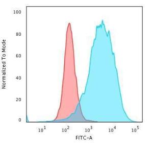 Anti-CD43 antibody