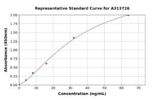 Representative standard curve for mouse NMU ELISA kit (A313726)