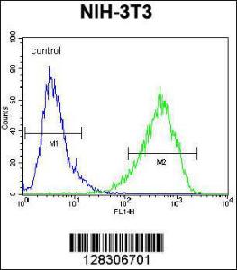 Anti-HOMEZ Rabbit Polyclonal Antibody