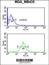 Anti-TFPT Rabbit Polyclonal Antibody (APC (Allophycocyanin))