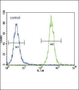 Anti-CC85C Rabbit Polyclonal Antibody (APC (Allophycocyanin))