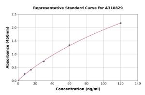 Representative standard curve for Human S100 alpha 2 / S100A2 ELISA kit (A310829)