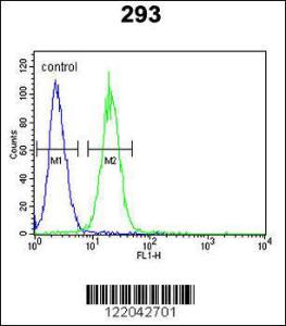 Anti-KvLQT1 Rabbit Polyclonal Antibody (HRP (Horseradish Peroxidase))