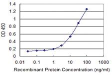 Anti-ZP2 Mouse Monoclonal Antibody [clone: 2B9]