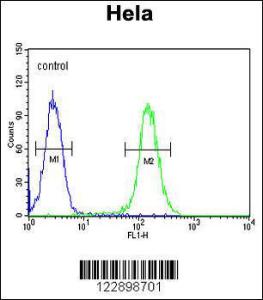 Anti-FOXL2 Rabbit Polyclonal Antibody