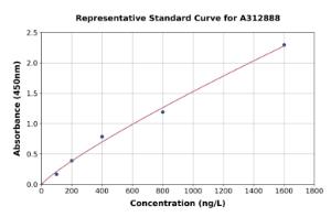 Representative standard curve for Human N-Myc Interactor/NMI ELISA kit (A312888)