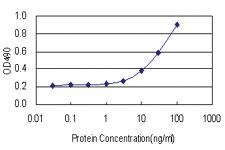 Anti-PCK1 Antibody Pair