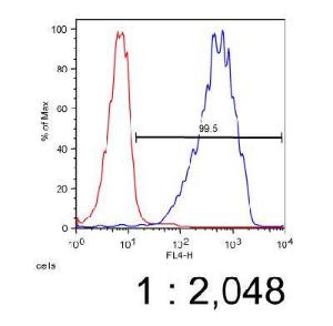 Anti-ABCA7 Rat Monoclonal Antibody [clone: 7A1-144]