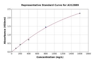 Representative standard curve for Human RASSF4 ELISA kit (A312889)