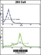 Anti-GDF6 Rabbit Polyclonal Antibody