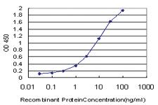 Anti-TCF19 Mouse Monoclonal Antibody [clone: 6D8]