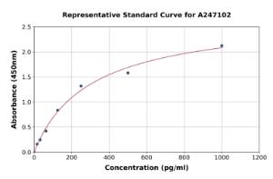 Representative standard curve for Human PER1 ELISA kit (A247102)