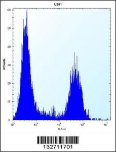 Anti-TPM4 Rabbit Polyclonal Antibody