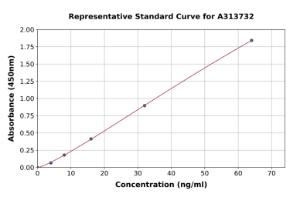 Representative standard curve for human COX2 ELISA kit (A313732)