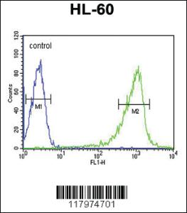 Anti-CAPZA1 Rabbit Polyclonal Antibody