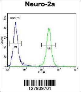 Anti-CEP89 Rabbit Polyclonal Antibody