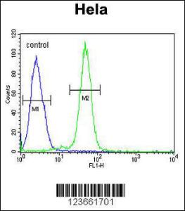 Anti-AGXT2 Rabbit Polyclonal Antibody (HRP (Horseradish Peroxidase))