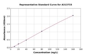 Representative standard curve for mouse GM-CSF ELISA kit (A313733)