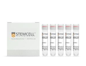 RosetteSep™ human CD8+ T cell enrichment cocktail