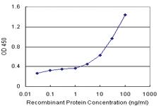 Anti-RGS5 Antibody Pair