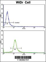 Anti-DDX53 Rabbit Polyclonal Antibody