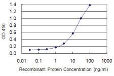 Anti-LGALS3 Mouse Monoclonal Antibody [clone: 3G8]