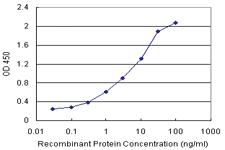 Anti-RGS5 Polyclonal Antibody Pair