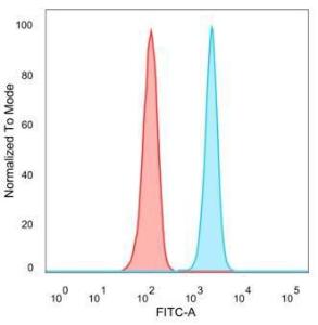 Flow cytometric analysis of PFA-fixed HeLa cells using Anti-QKI Antibody [PCRP-QKI-2F10] followed by Goat Anti-Mouse IgG (CF and #174; 488) (Blue). Isotype Control (Red)