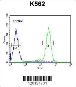 Anti-RTP4 Rabbit Polyclonal Antibody (PE (Phycoerythrin))