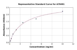 Representative standard curve for Rat Kiss1 ELISA kit (A79491)