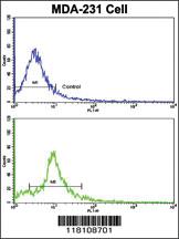 Anti-NUP62 Rabbit Polyclonal Antibody