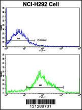 Anti-MyoGEF Rabbit Polyclonal Antibody (FITC (Fluorescein))