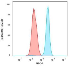 Flow cytometric analysis of PFA-fixed K562 cells using Anti-QKI Antibody [PCRP-QKI-2F10] followed by Goat Anti-Mouse IgG (CF and #174; 488) (Blue). Isotype Control (Red)