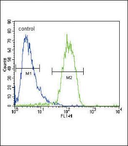 Anti-RASGRP1 Rabbit Polyclonal Antibody (Biotin)