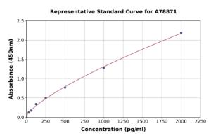 Representative standard curve for Rat TGF beta 1 ELISA kit (A78871)