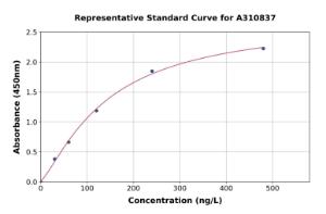 Representative standard curve for Mouse IRF7 ELISA kit (A310837)