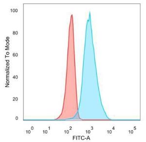 Flow cytometric analysis of PFA-fixed U87 cells using Anti-QKI Antibody [PCRP-QKI-2F10] followed by Goat Anti-Mouse IgG (CF and #174; 488) (Blue). Isotype Control (Red)