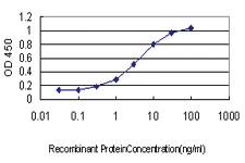 Anti-LGALS8 Mouse Monoclonal Antibody [clone: 3E5]