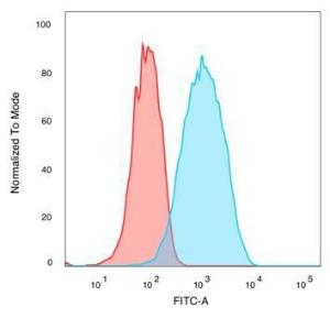 Flow cytometric analysis of PFA-fixed MCF-7 cells using Anti-QKI Antibody [PCRP-QKI-2F10] followed by Goat Anti-Mouse IgG (CF and #174; 488) (Blue). Isotype Control (Red)