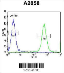 Anti-CCDC148 Rabbit Polyclonal Antibody