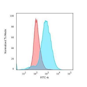 Flow cytometric analysis of PFA fixed Jurkat cells using Anti-CD28 Antibody [CB28] followed by Goat Anti-Mouse IgG (CF&#174; 488) (Blue) Isotype Control (Red)