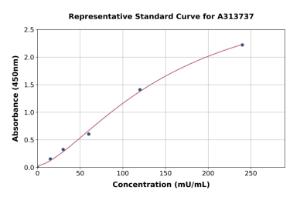 Representative standard curve for mouse Ornithine Aminotransferase ELISA kit (A313737)