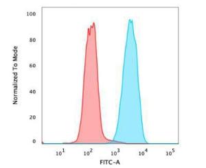 Flow cytometric analysis of PFA fixed MCF-7 cells using Anti-EpCAM Antibody [PAN-EpCAM] followed by Goat Anti-Mouse IgG (CFand#174; 488) (Blue). Isotype Control (Red)