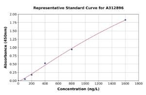 Representative standard curve for Mouse p63 ELISA kit (A312896)