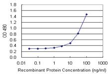 Anti-SFTPA1 Mouse Monoclonal Antibody (Biotin)