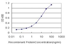 Anti-LIG1 Mouse Monoclonal Antibody [clone: 10G12]